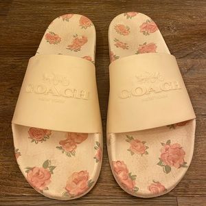 White Coach Slides
